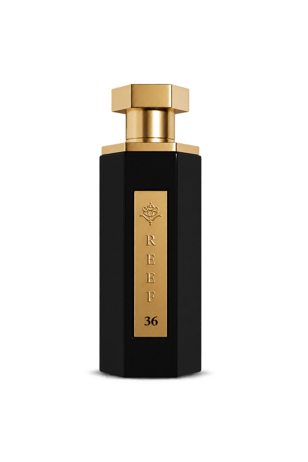 Reef 36 Perfume 100ml EDP by Reef Perfumes