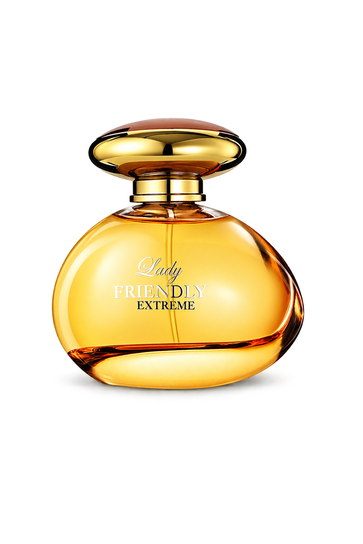 Friendly Lady Extreme Perfume 100ml EDP by Fragrance World